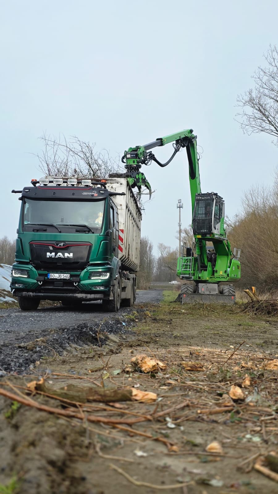 Jabu Baumdienst Baumfällung