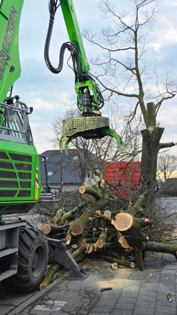 Baumfällung Jabu Baumdienst