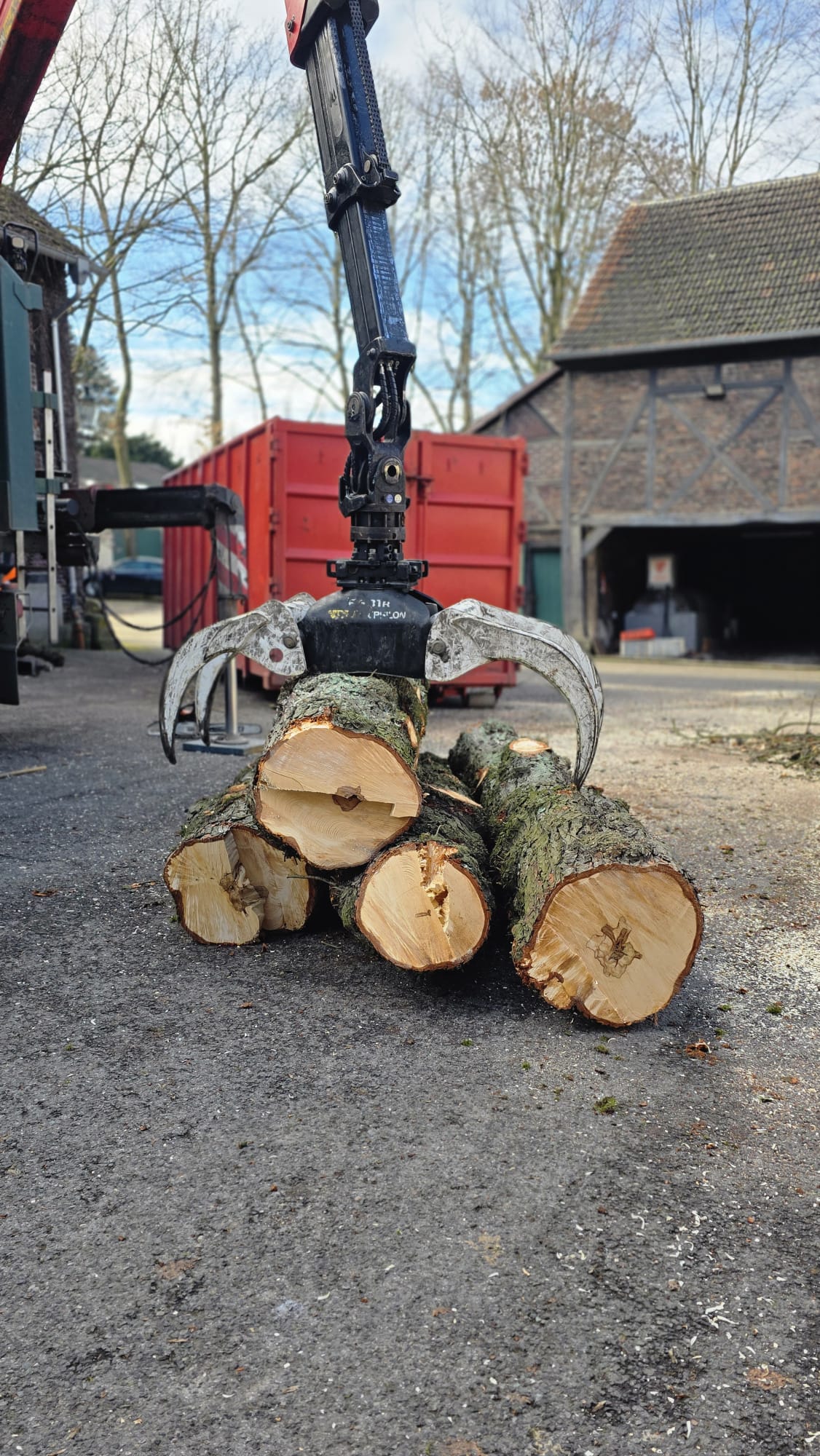 Bäume fällen lassen von JaBu Baumdienst